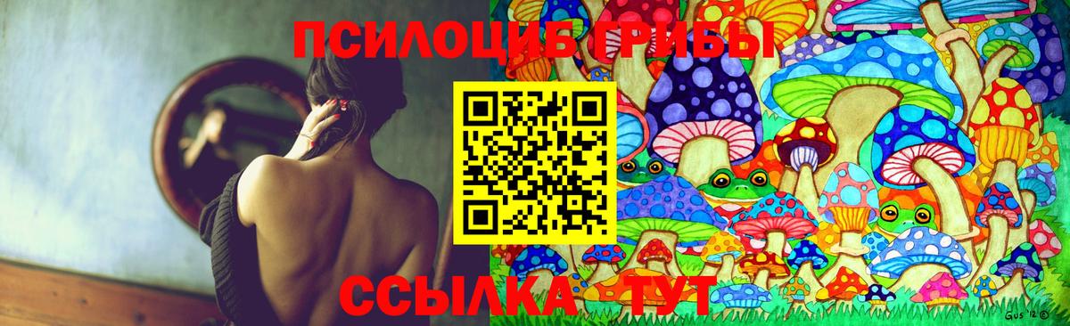 Саяногорск  Псилоцибиновые грибы Magic Shrooms  Вход с VPN 